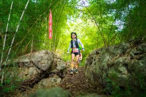 BIB: 
                            <button type="button" onclick="openModal(22088304)" class="btn btn-primary btn-sm float-right btn-popup" data-toggle="modal" data-target=".modal-high-quality">
                        <i class="fas fa-shopping-cart"></i> Add to Cart
                    </button>
                                            <button type="button" onclick="isThisMe(22088304, true)" class="btn btn-success btn-sm float-right btn-popup btn-isme hidden" data-toggle="tooltip" data-placement="bottom" title="นี่คือรูปของคุณใช่ไหม คลิกที่นี่เพื่อเอาเข้าอัลบั้ม">
                        <i class="fas fa-plus"></i> Add to album
                    </button>
                    <button type="button" onclick="isThisMe(22088304, false)" class="btn btn-warning btn-sm float-right btn-popup btn-isnotme hidden">
                        <i class="fas fa-ban"></i> Remove from album
                    </button>